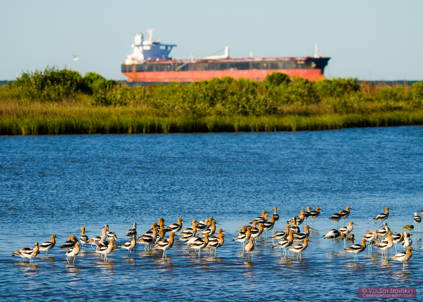 May 1, 2017. Galveston Island. 