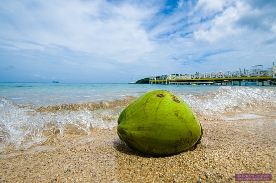 Galveston Cruises to Roatán, Honduras